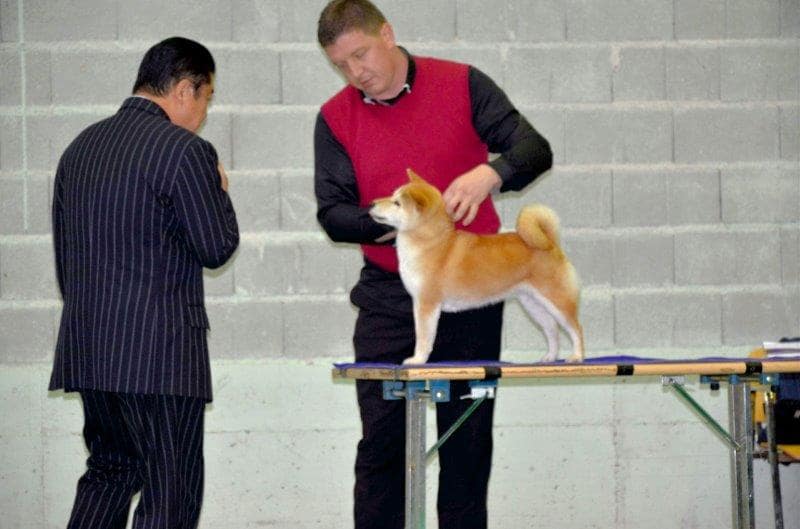 2018-11-11-22-53-56-min