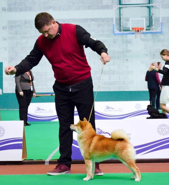 2018-11-11-22-59-32-min